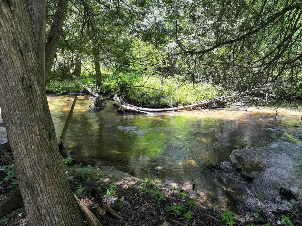 9281 N 41 Road Liberty Township MI 49663