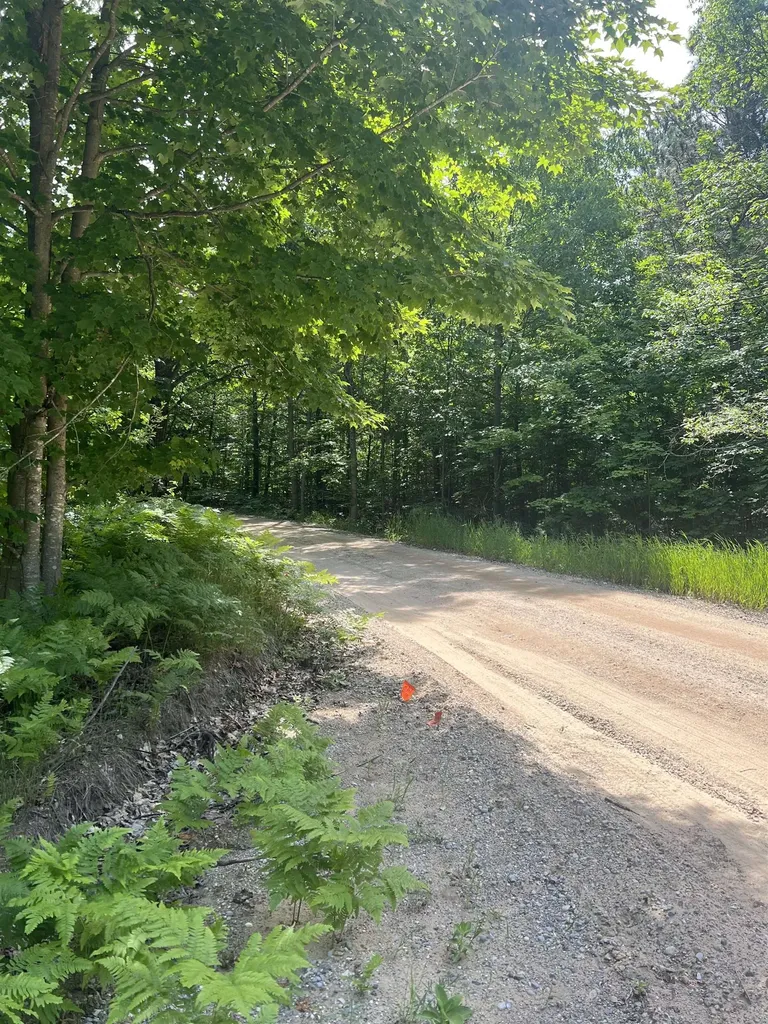 Parcel H O'dell Road Whitewater Township MI 49690