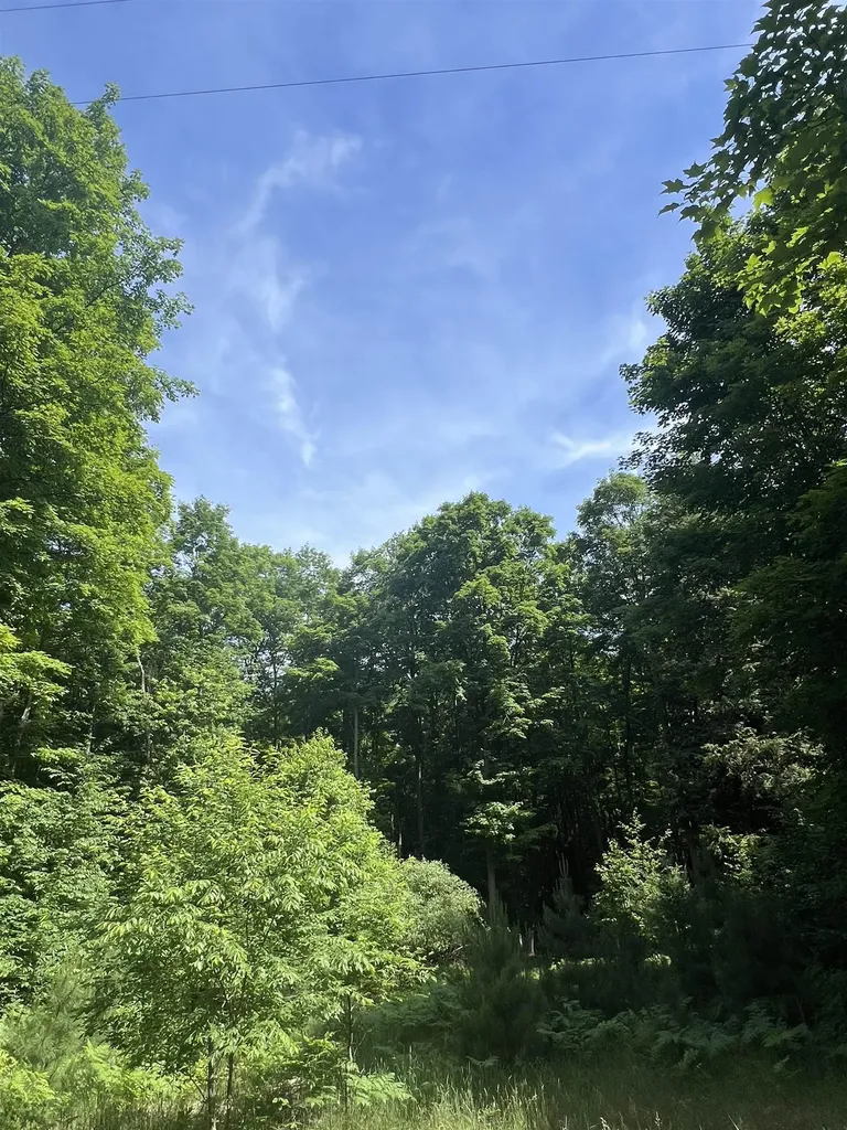 Parcel K O'dell Road Whitewater Township MI 49690
