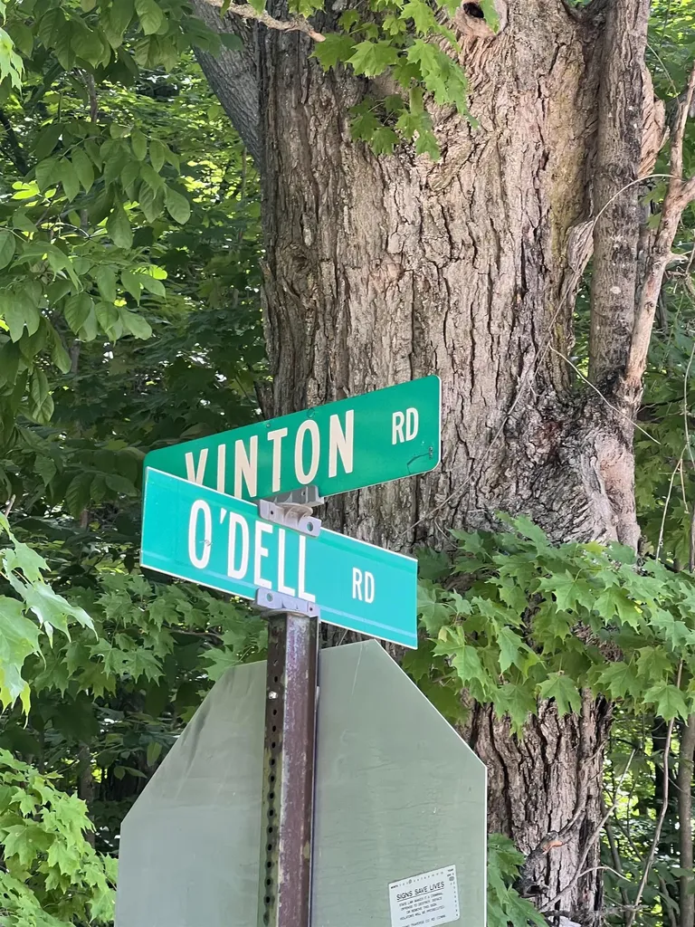 Parcel K O'dell Road Whitewater Township MI 49690