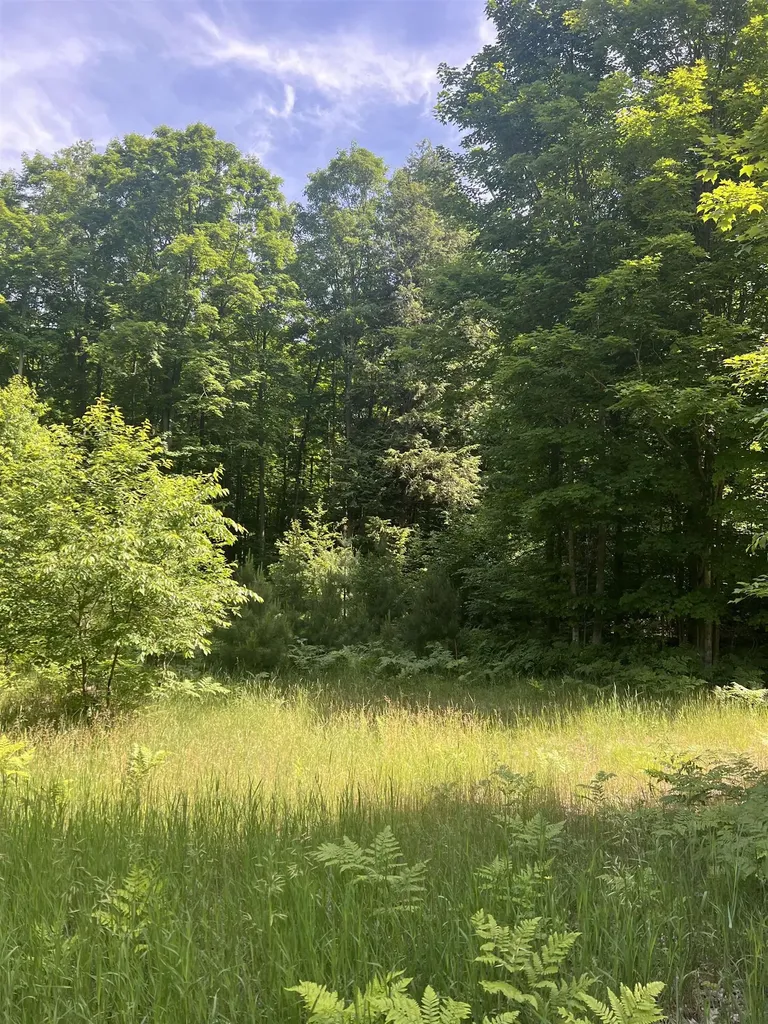 Parcel G O'dell Road Whitewater Township MI 49690