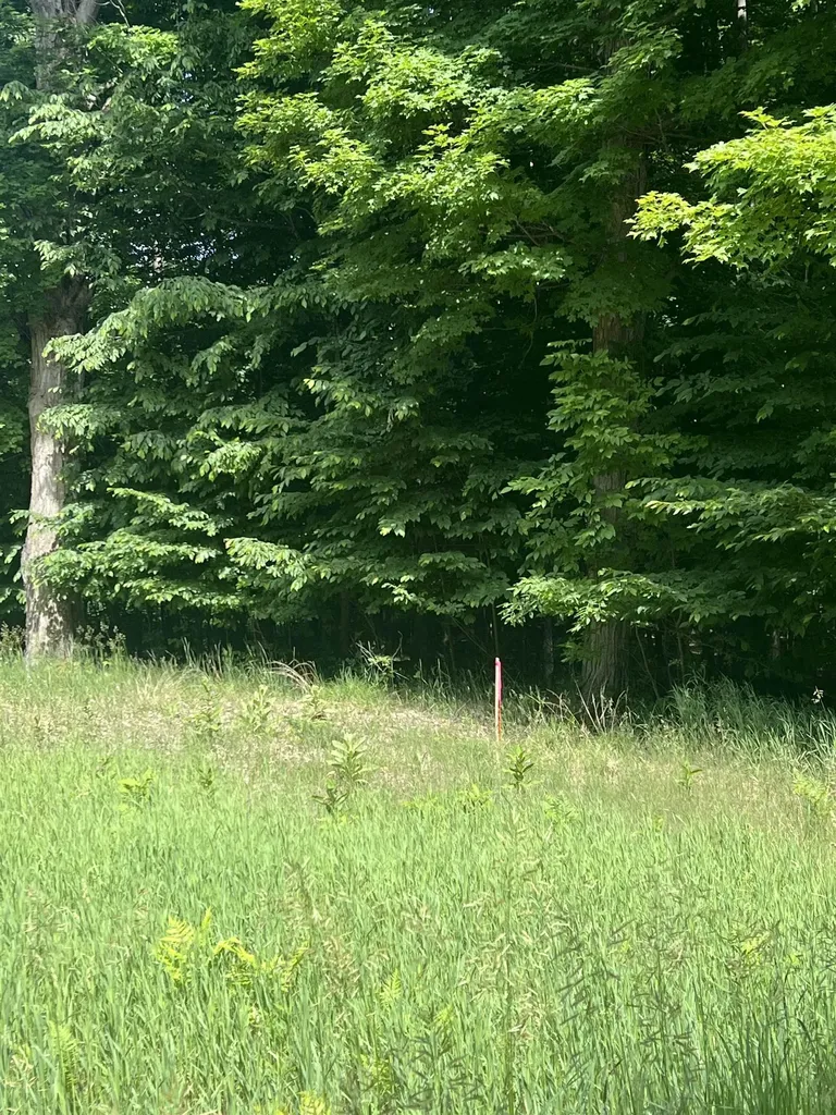 Parcel G O'dell Road Whitewater Township MI 49690
