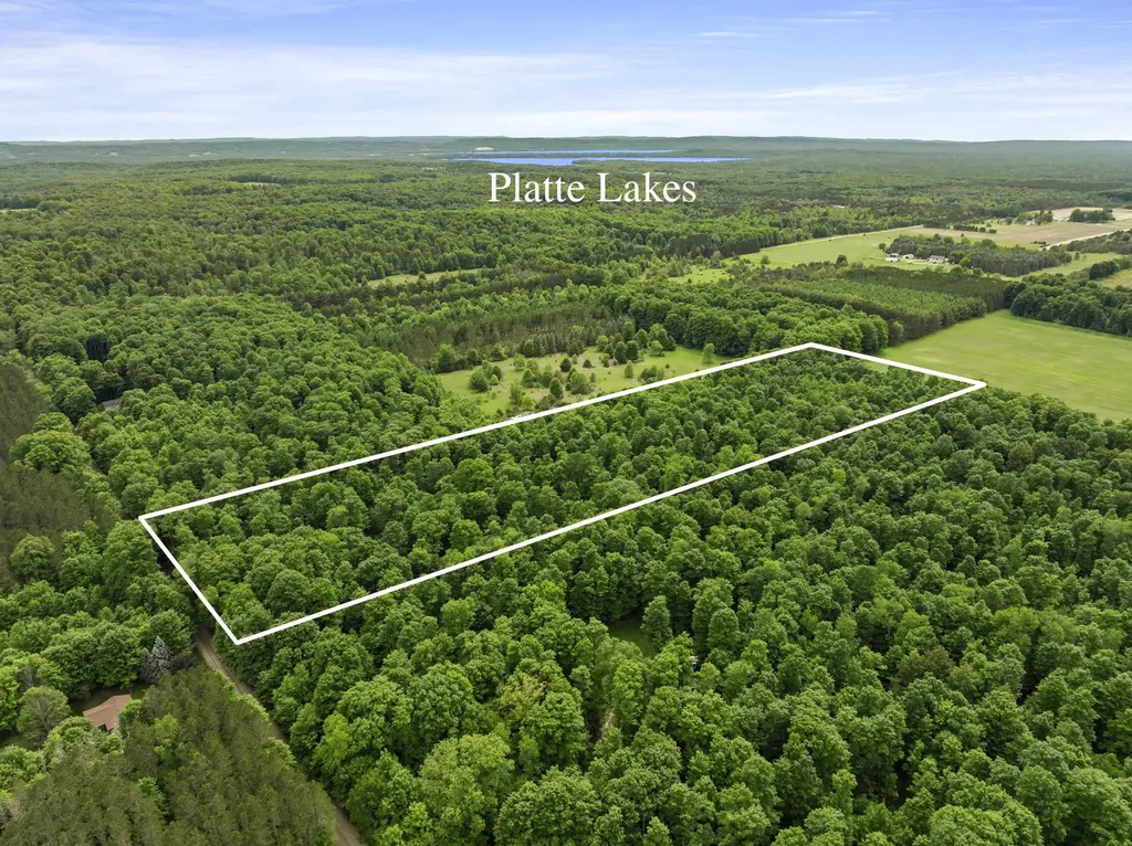 7532 Way Road Platte Township MI 49640