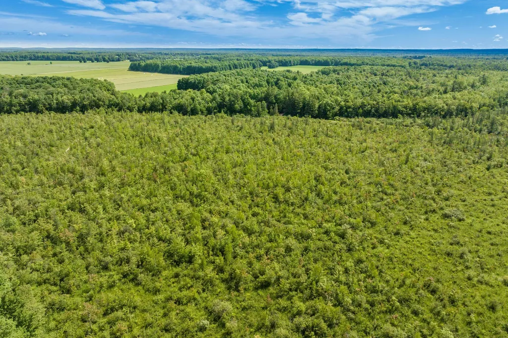0 N Sharon Road Kalkaska Township MI 49646