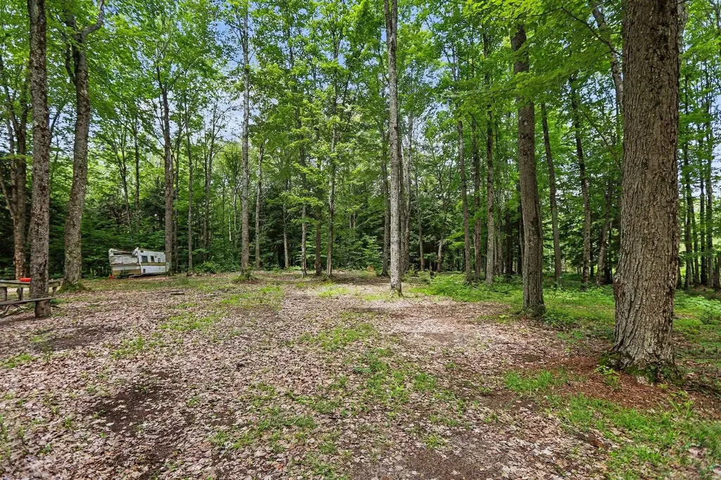 V/l Third Road Coldsprings Township MI 49646