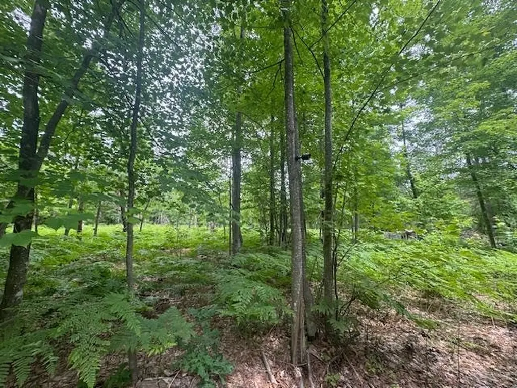 10384 W Rosted Road Lake Township MI 49651