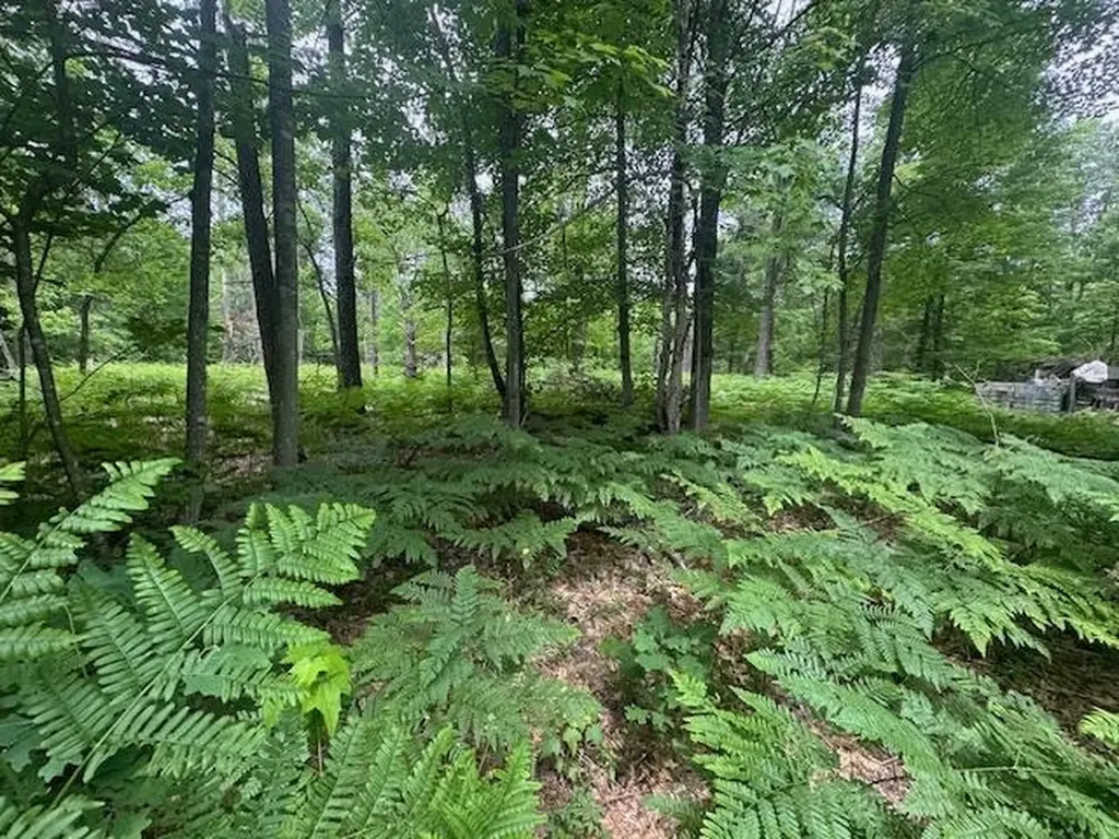 10384 W Rosted Road Lake Township MI 49651