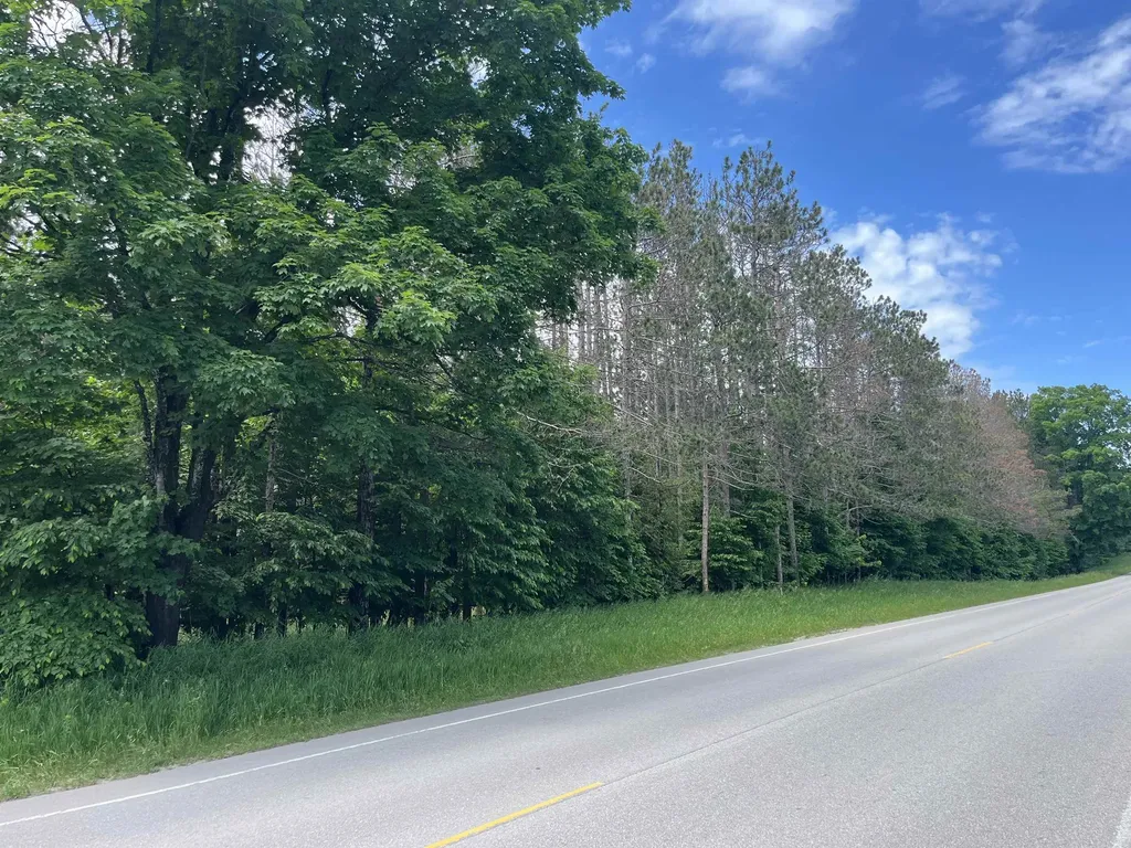 Parcel C Maple City Highway Almira Township MI 49650