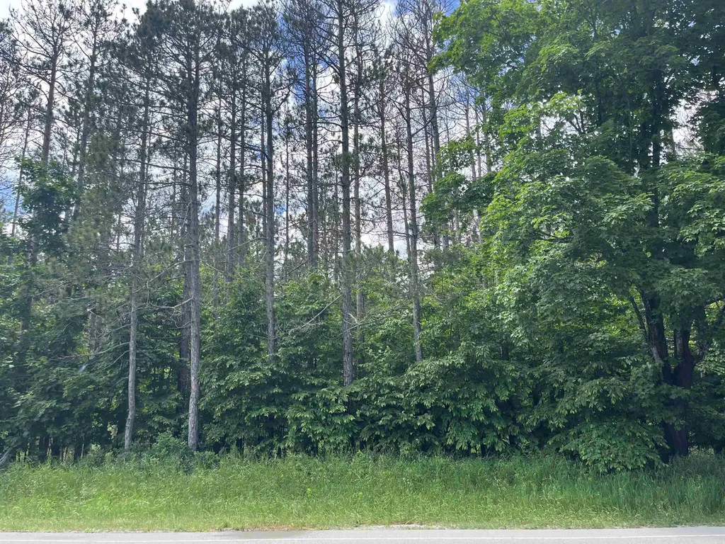 Parcel C Maple City Highway Almira Township MI 49650