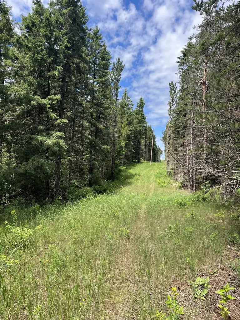 Parcel C Maple City Highway Almira Township MI 49650