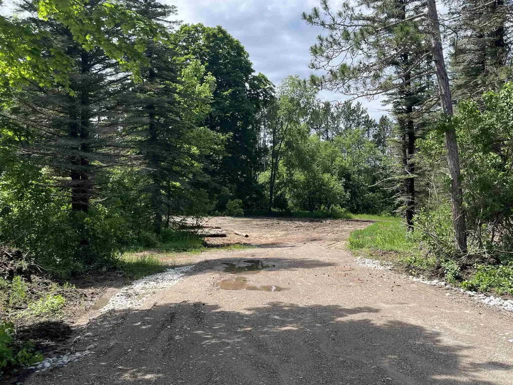 Parcel E Maple City Highway Almira Township MI 49650