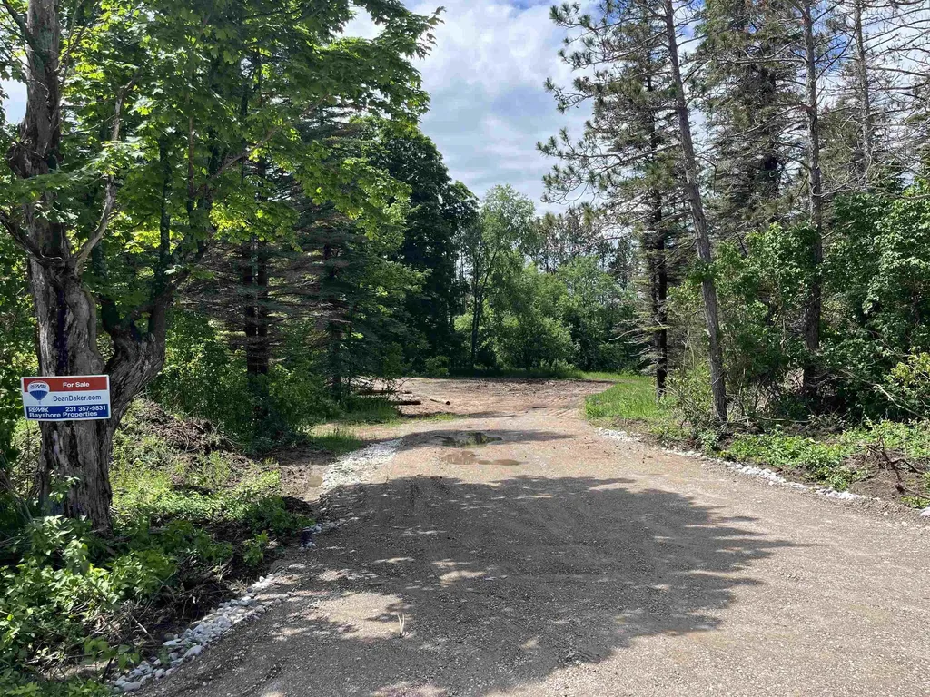 Parcel E Maple City Highway Almira Township MI 49650