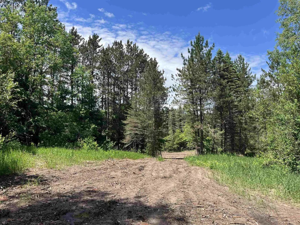 Parcel E Maple City Highway Almira Township MI 49650