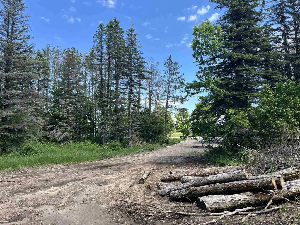 Parcel E Maple City Highway Almira Township MI 49650