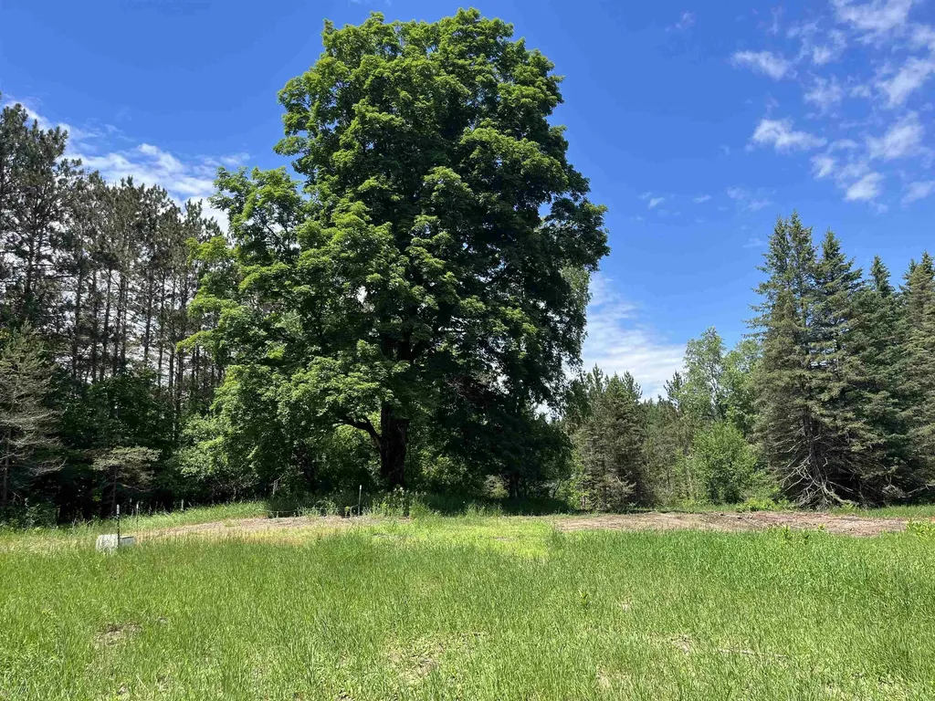 Parcel E Maple City Highway Almira Township MI 49650
