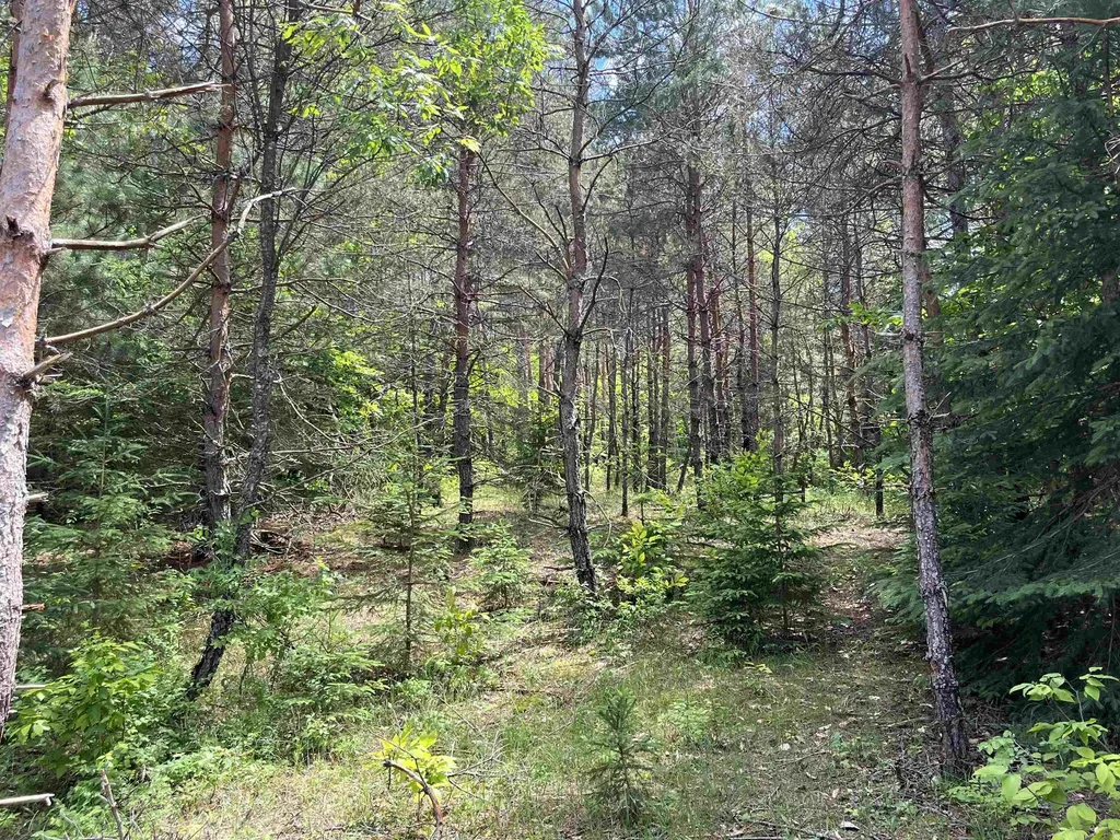 Parcel E Maple City Highway Almira Township MI 49650