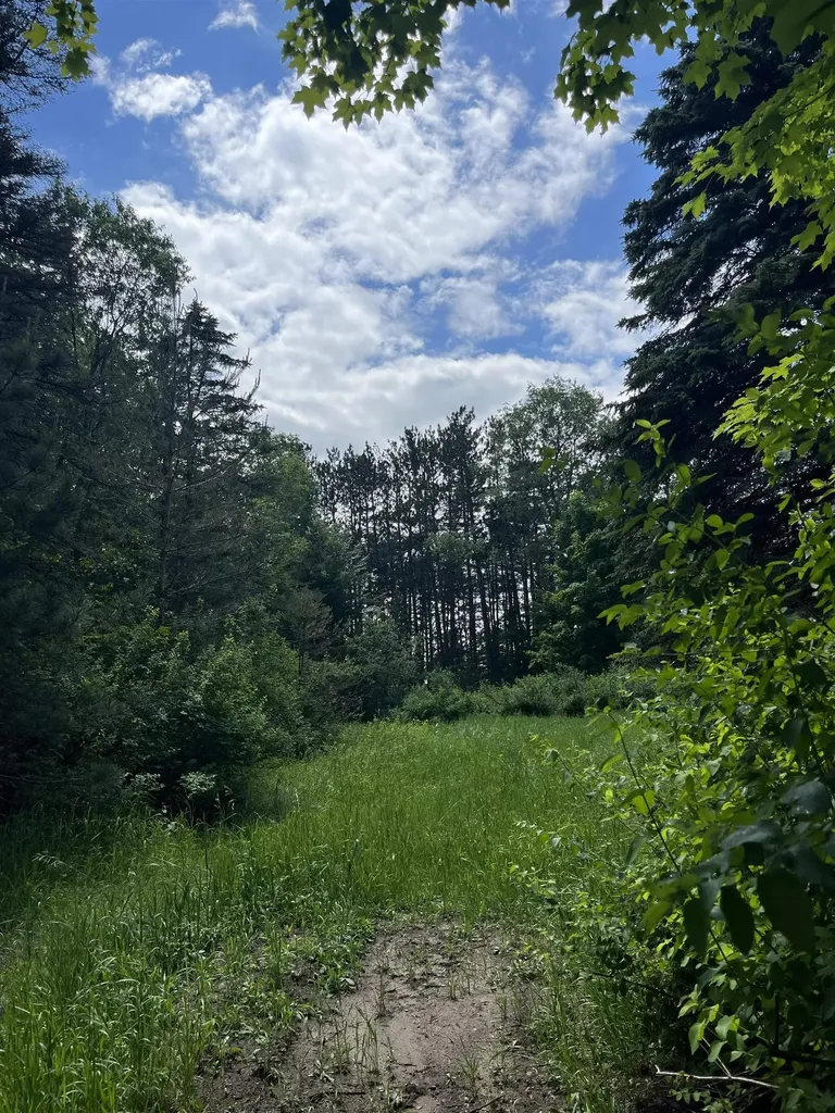 Parcel E Maple City Highway Almira Township MI 49650