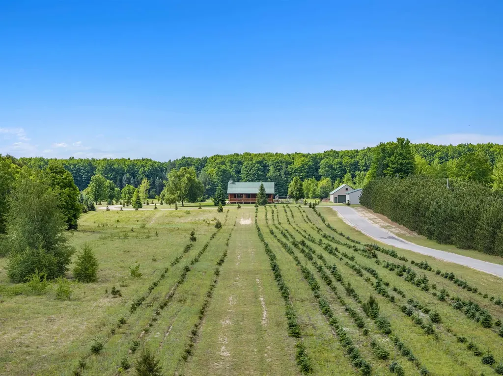 347 SW Boardman Road Orange Township MI 49680