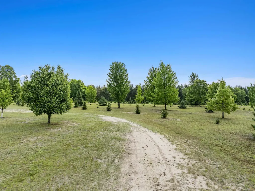 347 SW Boardman Road Orange Township MI 49680