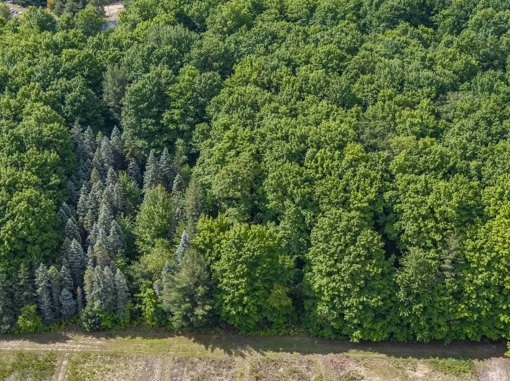 347 SW Boardman Road Orange Township MI 49680