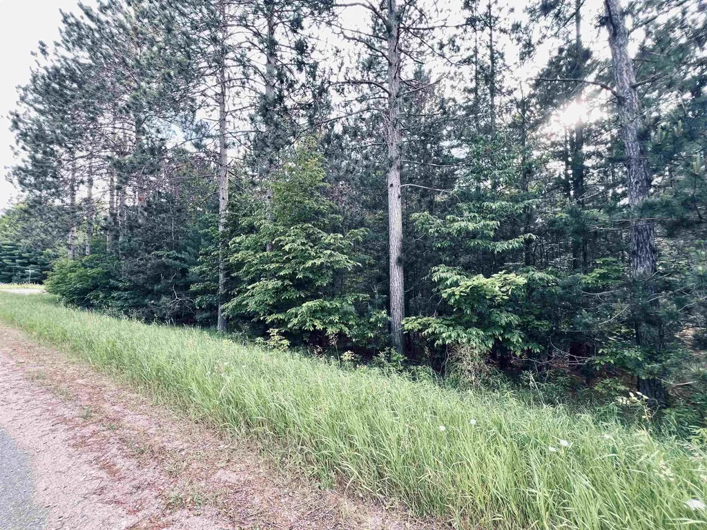 5905 E Moorestown Road Norwich Township MI 49651