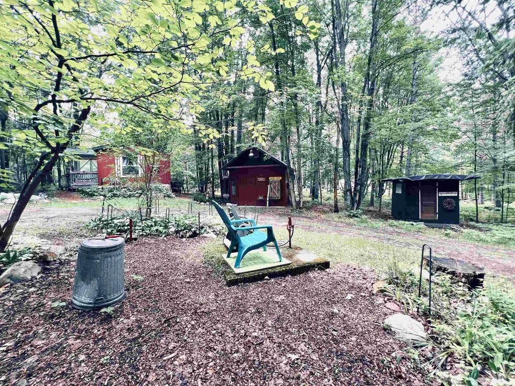 154 Hills Circle Rose Lake Township MI 49655