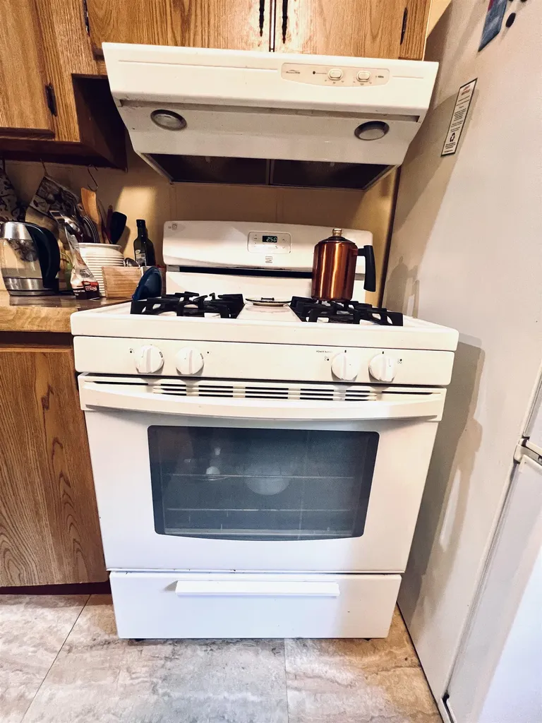 154 Hills Circle Rose Lake Township MI 49655