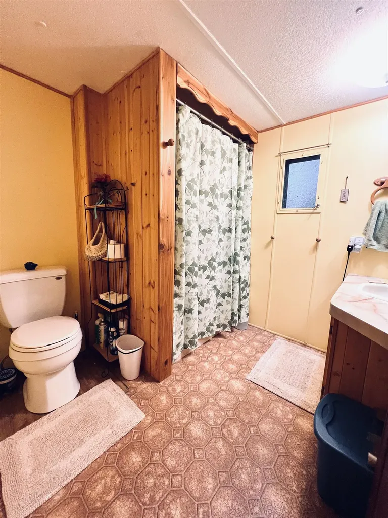 154 Hills Circle Rose Lake Township MI 49655