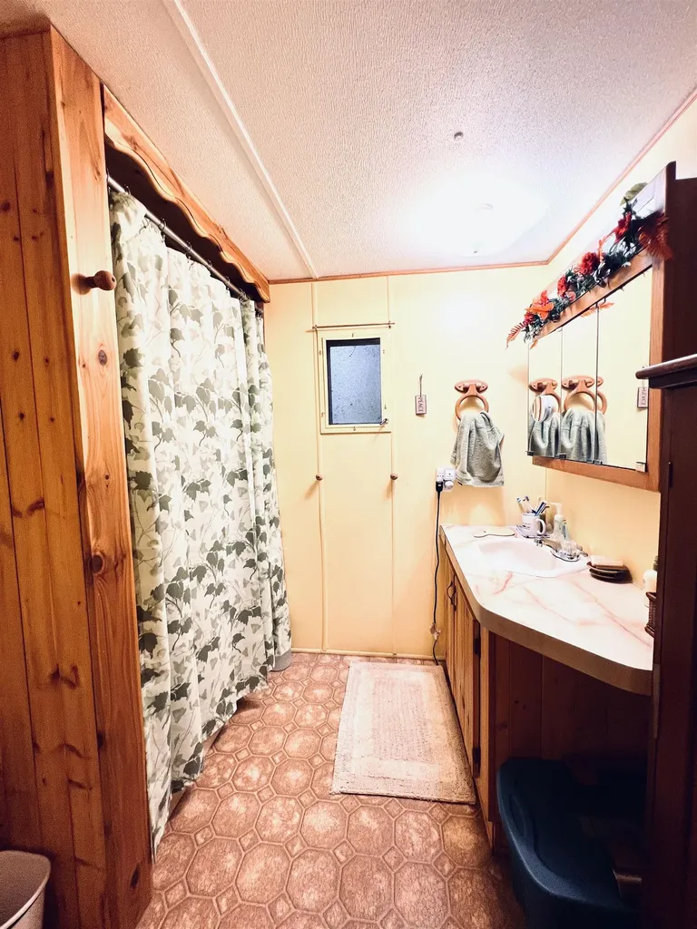 154 Hills Circle Rose Lake Township MI 49655