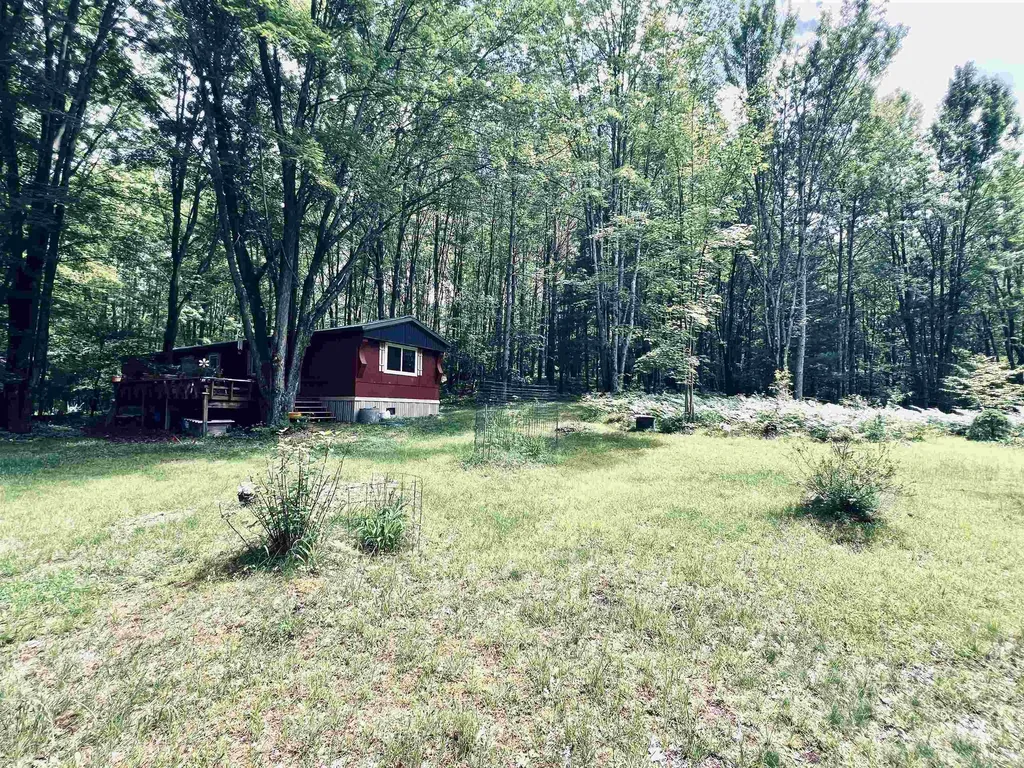154 Hills Circle Rose Lake Township MI 49655