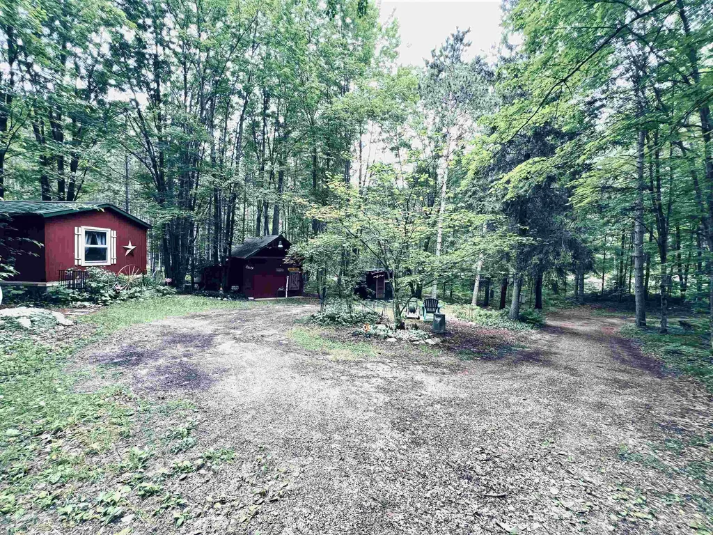 154 Hills Circle Rose Lake Township MI 49655