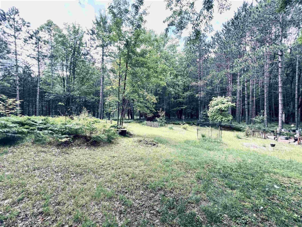 154 Hills Circle Rose Lake Township MI 49655