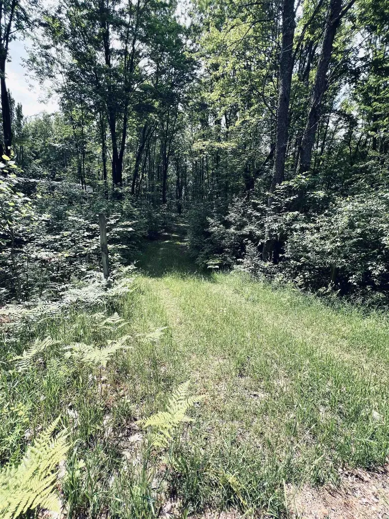 154 Hills Circle Rose Lake Township MI 49655