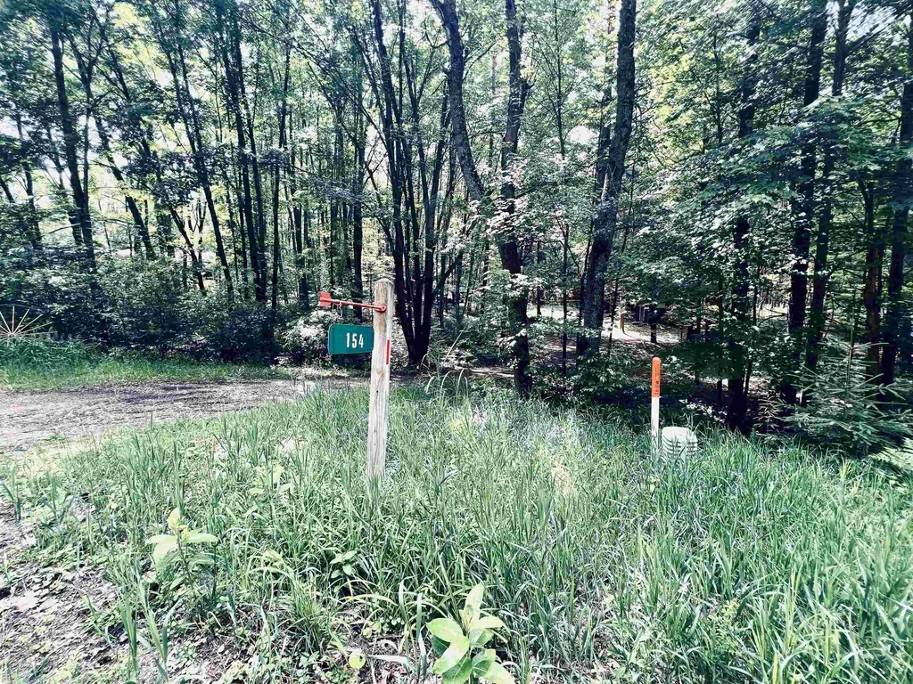 154 Hills Circle Rose Lake Township MI 49655