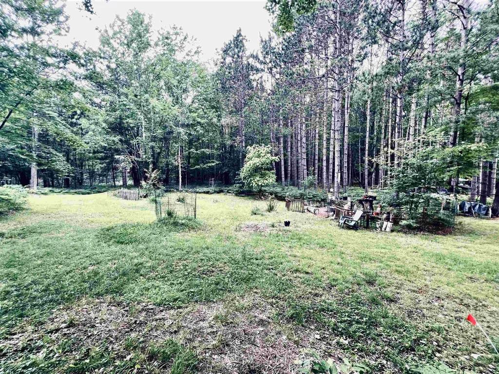 154 Hills Circle Rose Lake Township MI 49655