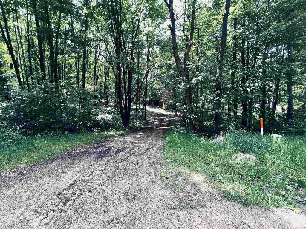 154 Hills Circle Rose Lake Township MI 49655