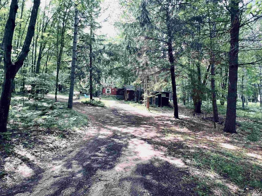 154 Hills Circle Rose Lake Township MI 49655