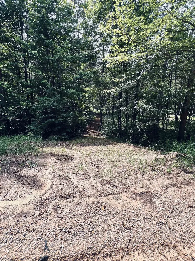 154 Hills Circle Rose Lake Township MI 49655