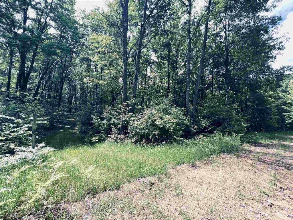 154 Hills Circle Rose Lake Township MI 49655