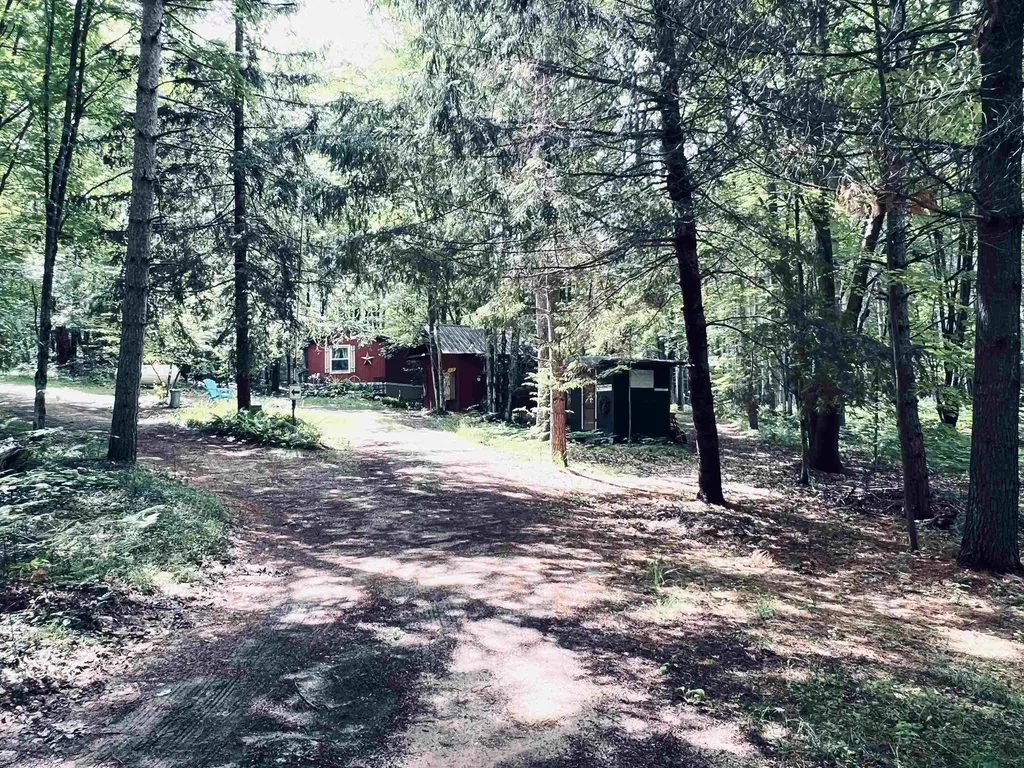 154 Hills Circle Rose Lake Township MI 49655
