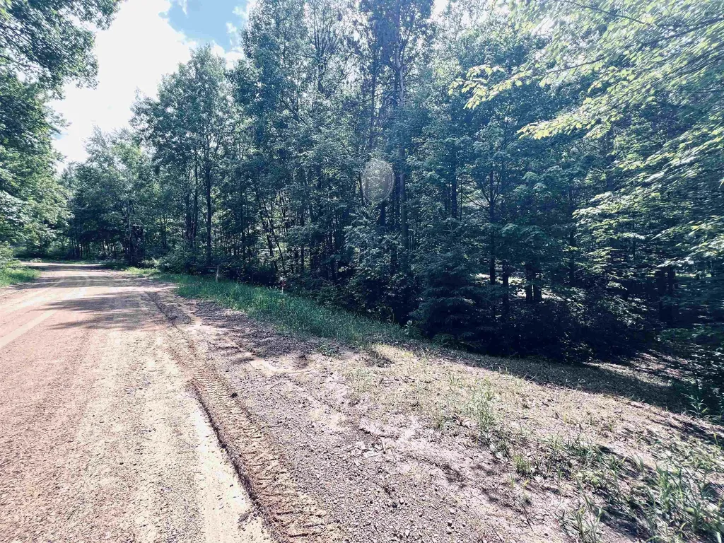 154 Hills Circle Rose Lake Township MI 49655