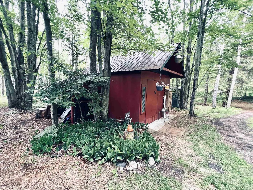 154 Hills Circle Rose Lake Township MI 49655