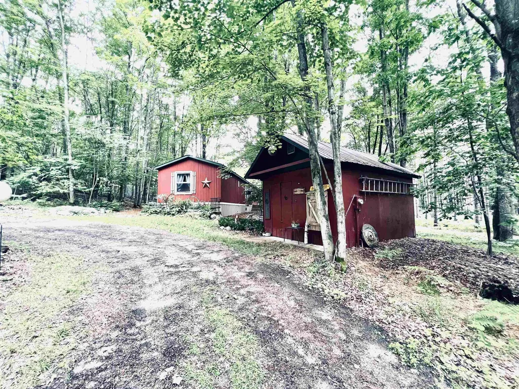 154 Hills Circle Rose Lake Township MI 49655