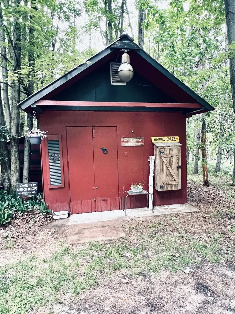 154 Hills Circle Rose Lake Township MI 49655