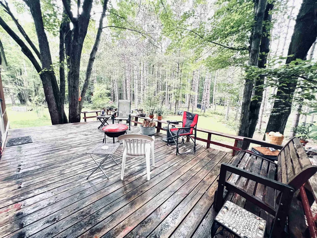 154 Hills Circle Rose Lake Township MI 49655