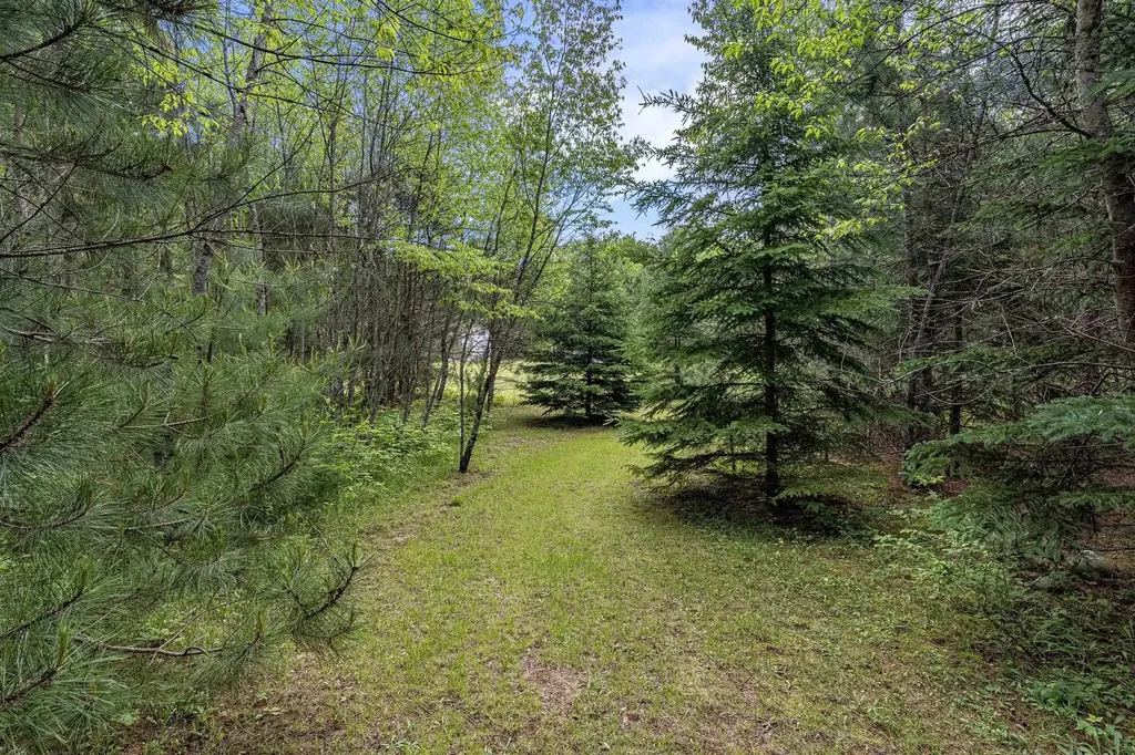 8767 Rustic Lane Garfield Township MI 49633