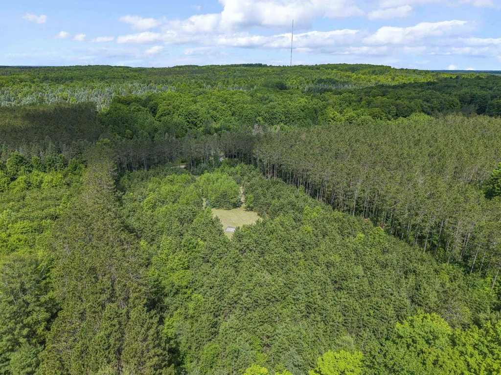 8767 Rustic Lane Garfield Township MI 49633