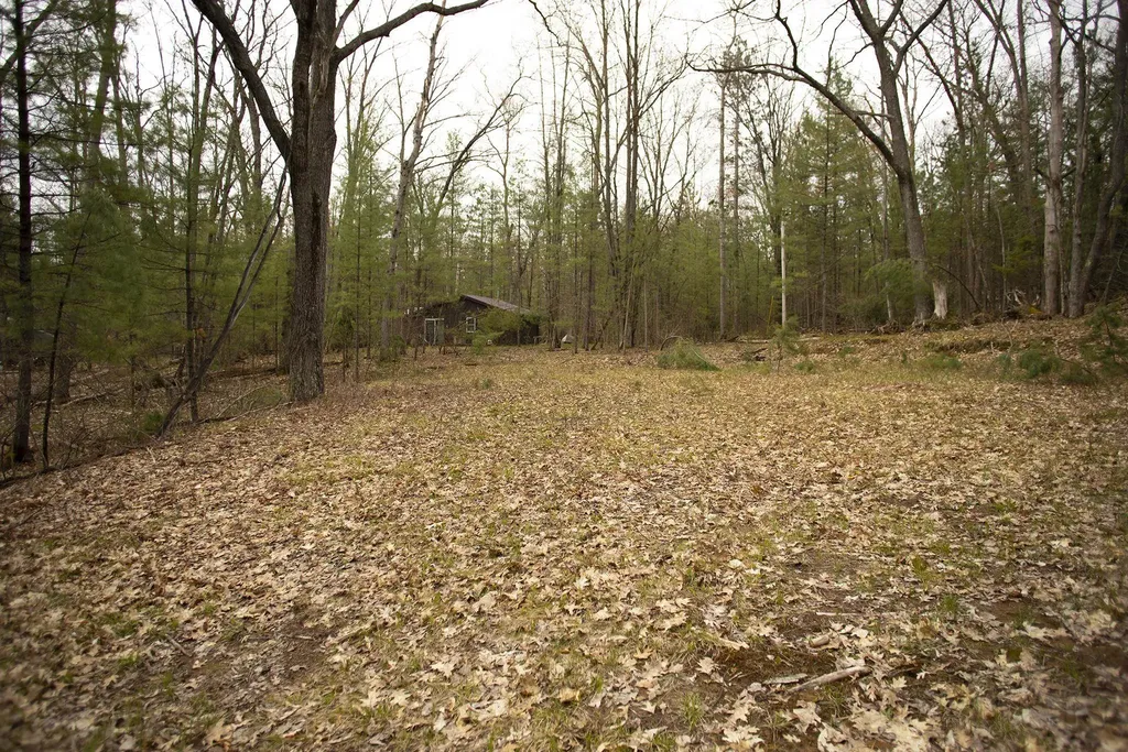 00 NE Bailey Street Bear Lake Township MI 49646
