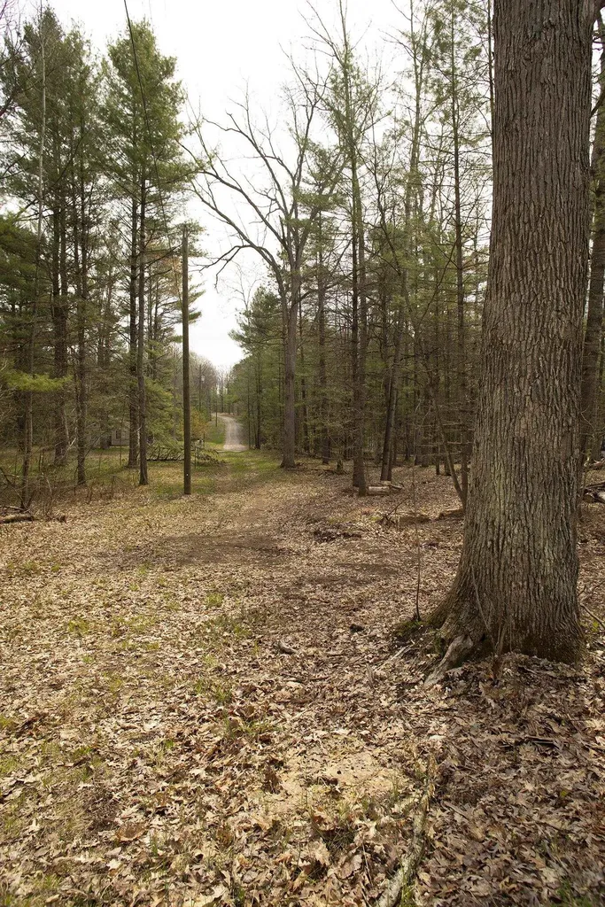00 NE Bailey Street Bear Lake Township MI 49646