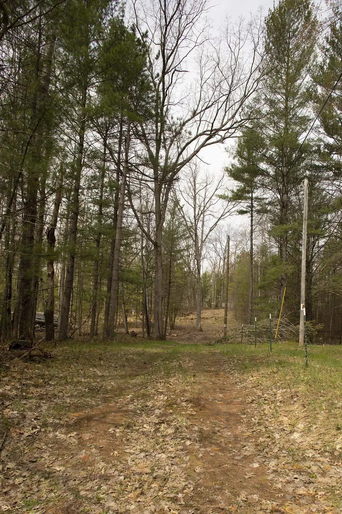 00 NE Bailey Street Bear Lake Township MI 49646